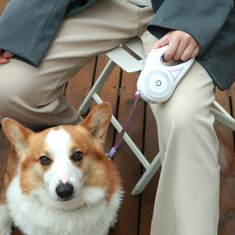 Glow 'n' Go: Retractable Leash with Pet Spotlight