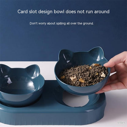 PurrFlow: Anti-Spill Automatic Cat Fountain