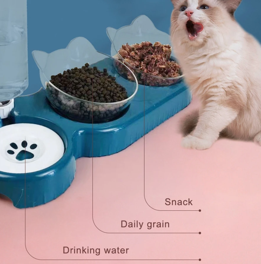 PurrFlow: Anti-Spill Automatic Cat Fountain