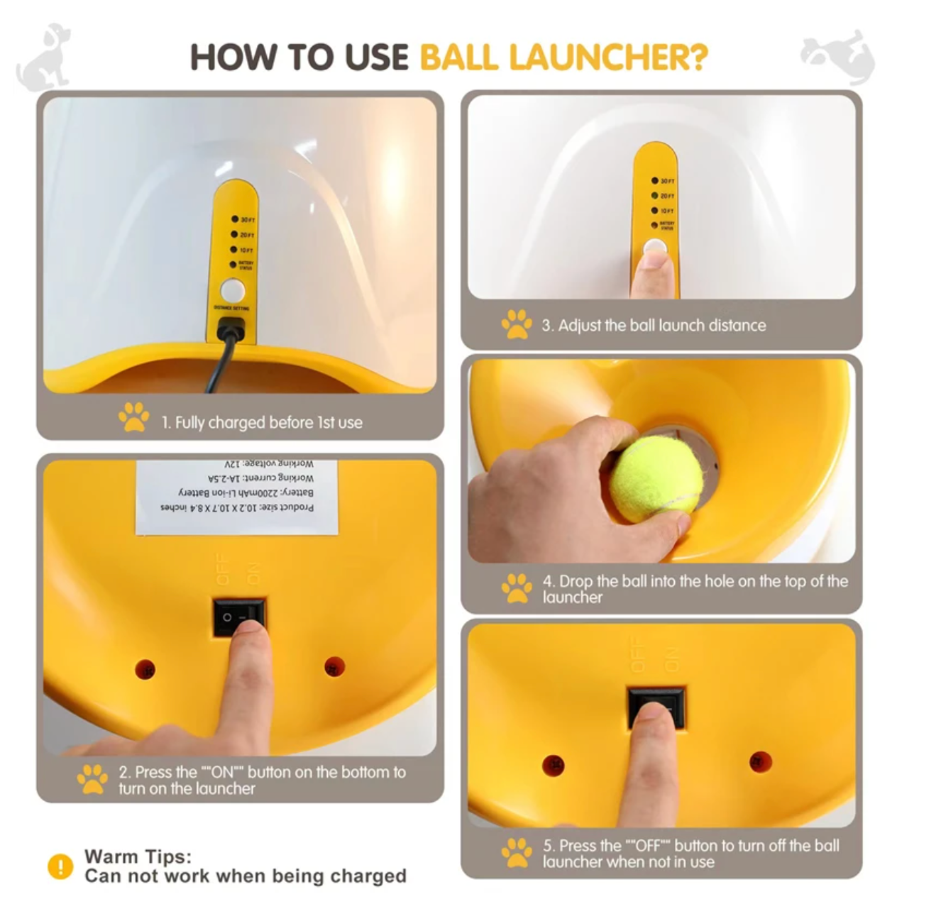 PawPlay:Tennis Ball Launcher