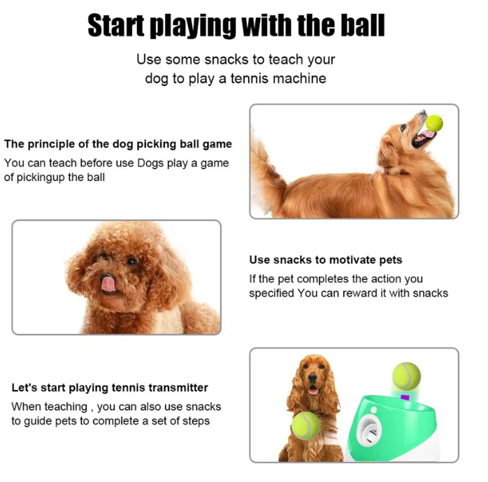 PawPlay:Tennis Ball Launcher