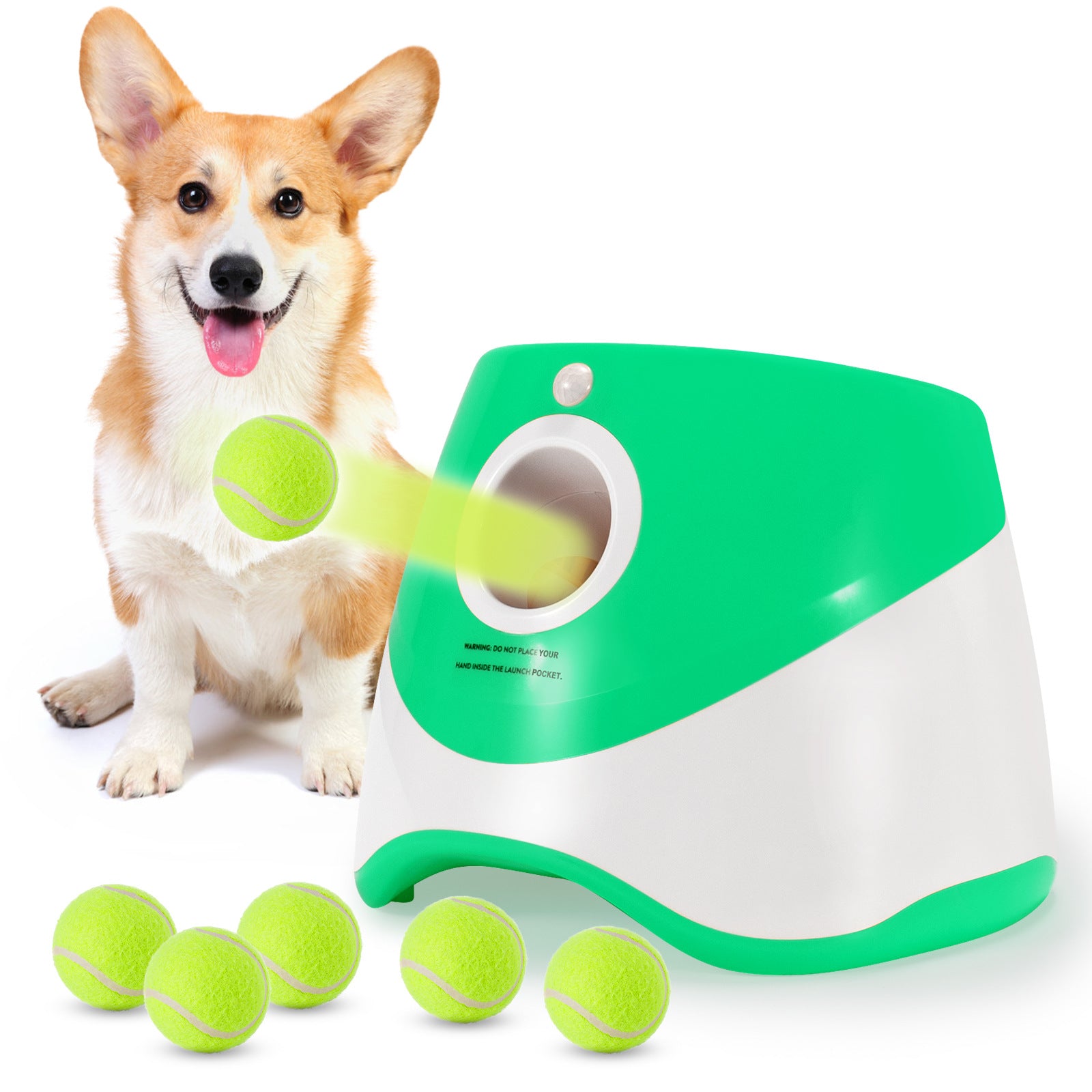 PawPlay:Tennis Ball Launcher