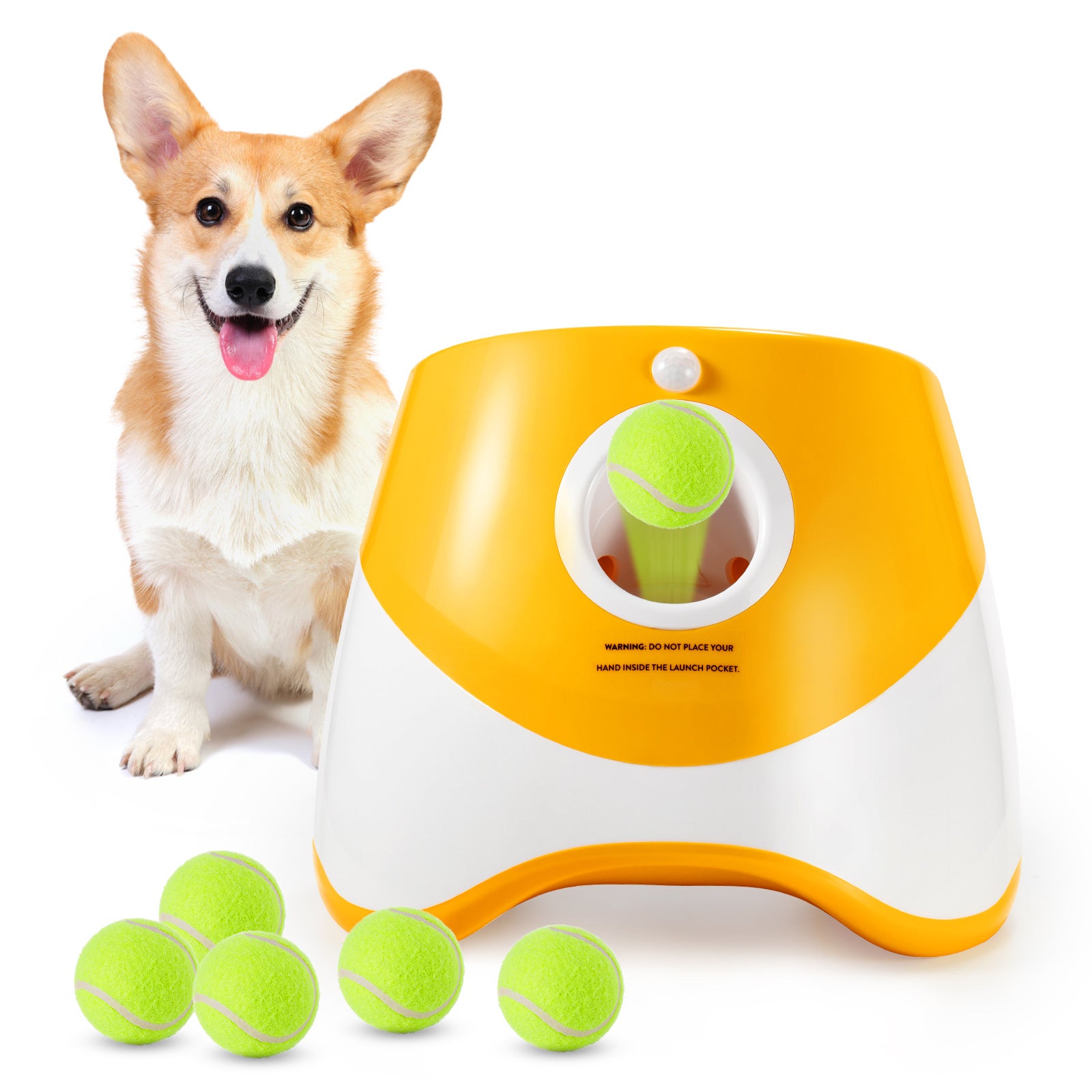 PawPlay:Tennis Ball Launcher